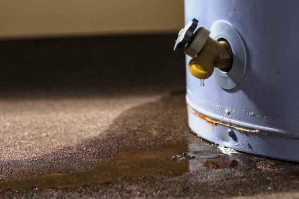 Best Mold removal after water damage  in Carefree, AZ