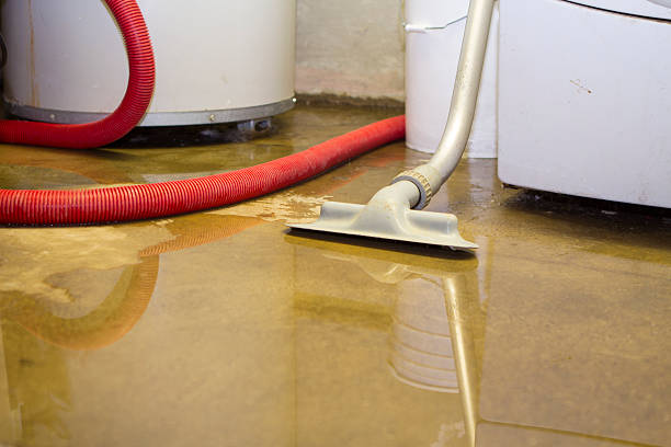 Best Water damage restoration near me  in Carefree, AZ