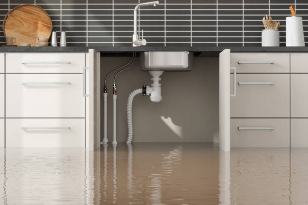 Professional Water damage restoration in AZ